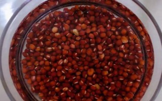 种植红豆的时间和方法，一般为每年5-6月份