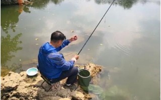 草鱼能不能钓,在风力适宜的晴天作钓成功率更高