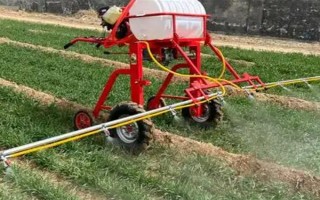 冬季打农药要注意什么，在晴天高温时段用药效果更好