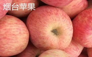 山东烟台市的特产,烟台海参闻名海内外