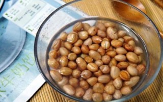 哪些因素会影响花生种子发芽,自身的质量是首要因素