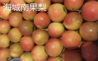 辽宁省鞍山市水果特产,别称钢都、玉都