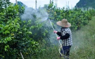 把洗衣粉添加在农药中有什么作用,可增加药物的粘性使其经受住雨水冲刷
