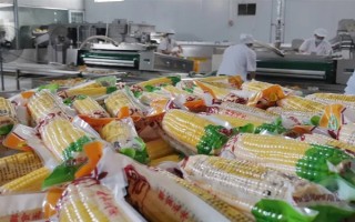 玉米深加工的产品有哪些，有玉米淀粉、玉米蛋白粉等