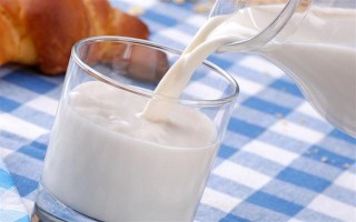 狗狗能吃水果吗，从以下5点出发去饲喂