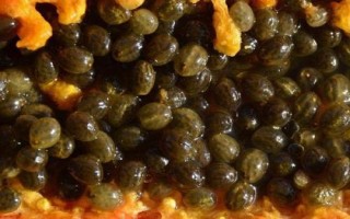 木瓜种子能不能吃,籽是天然的能吃