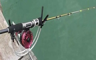筏钓的最佳钓点,养殖网箱下面堪称最佳钓点