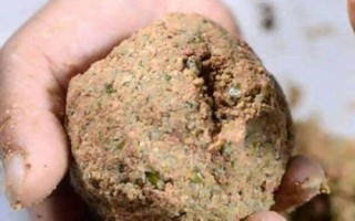 蚯蚓能不能垂钓鲢鳙鱼，效果较差一般无法钓获