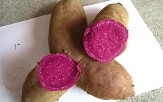 紫薯和红薯的区别，前者味甜较贵、后者甜味淡较便宜