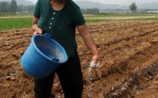 复合肥的使用方法,复合肥宜做基肥