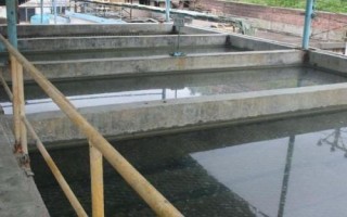 开办屠宰场需办理的手续,包括屠宰许可证、排污许可证及动物防疫条件许可证等