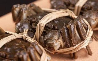 大闸蟹有哪些形态特征，头胸甲为圆方形