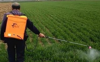 百草枯的使用方法，在不同作物带上的使用方法不同