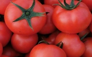 哪些农作物在秋季成熟，包括花生、玉米、西红柿等品种