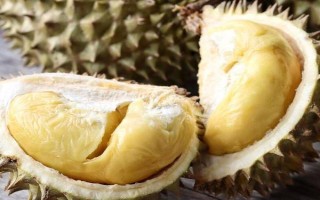 母榴莲的外形特点，外形都是长圆形的