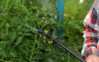菌核净的防治对象,以多种瓜果蔬菜的灰霉病、菌核病等病害为主