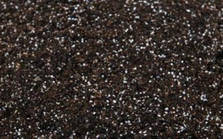 矮牵牛如何摘心，春季或秋季摘心为佳