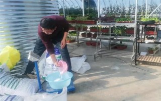 冲施肥的使用技巧,需正确选择冲施肥的肥料种类