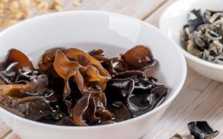 木耳收获的季节，秋木耳和春木耳的收获季节不同