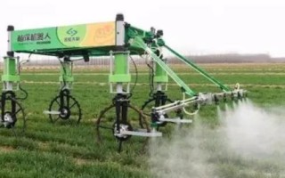 变异稗草用什么除草剂，可选异丙甲草胺、丁草胺、乙草胺等