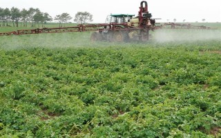 氯吡脲有什么作用，能起到促进作物生长、提高产量等效果