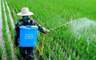 5克恶霉灵的兑水量，取决于使用方法