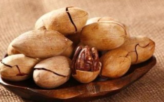 碧根果的产地，在我国主产于云南、广东、新疆等地方