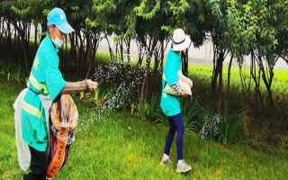 氮肥利用率是多少，利用率为25%-40%