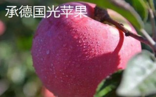 河北承德县的特产,盛产杏仁