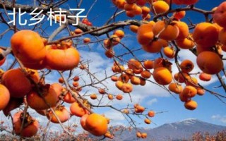 山西省阳泉市盂县的特产,枣介糕是家喻户晓的美食