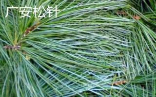 四川梓潼县的特产，梓潼酥饼、梓潼片粉、梓潼镶碗被称为“梓潼三绝”