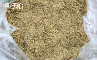 自配饲料没有豆粕可以拿什么代替,可以用棕榈粕、棉籽粕等代替