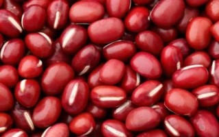 哪些农作物在秋季成熟，包括花生、玉米、西红柿等品种