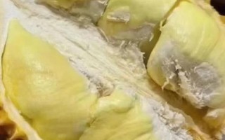 没熟的榴莲打开后如何处理,和其它成熟的水果放在一起可以起到催熟作用