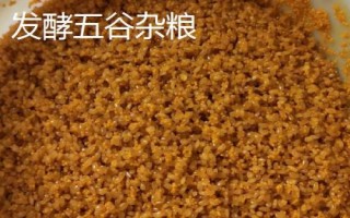 用什么料打窝能吸引较多的大鲫鱼,酒米对于鲫鱼具有较强的引诱力