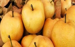 丰水梨上市季节，通常在秋季供应