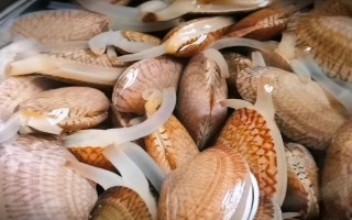 花甲的品种,常见的有花蛤、毛蛤、文蛤等