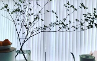 吊钟树怎么水培，要每隔一周更换一次清水