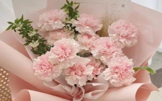 康乃馨有没有毒，植株不仅无毒还能入药