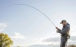 钓鲶鱼用什么饵料，腥味饵料效果好