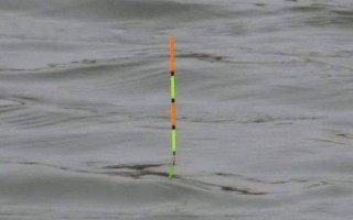 马口鱼的生活环境，常栖息在山涧溪流中