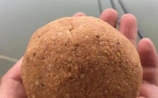 冬天夜钓鲤鱼怎么选钓点，最好根据水域来选择