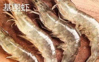 鲜活基围虾的价格，市场售价一般与规格有关