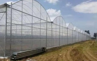 怎么安装大棚薄膜，选择无风高温的天气进行