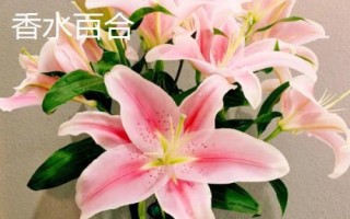 百合花属于蜜源植物吗，不同品种开花时间不同