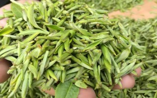 中国有哪十大茶叶品牌，西湖龙井、洞庭碧螺春等品牌榜上有名