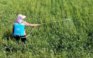 植物生长调节剂与植物激素有什么区别，前者属于人工合成的化合物、后者属于植物自身分泌的化合物