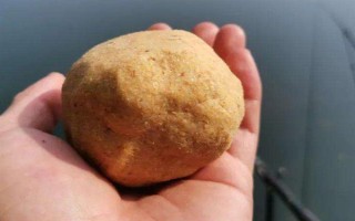 台钓鲤鱼用什么味型的饵料,可以选择甜味、薯香味、腥味的饵料