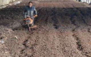 蚯蚓没有销路如何解决，卖给渔具店是不错的选择