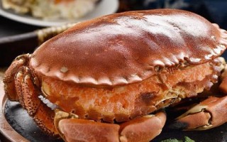 面包蟹和黄道蟹有什么区别，面包蟹属于黄道蟹里面的一个品种